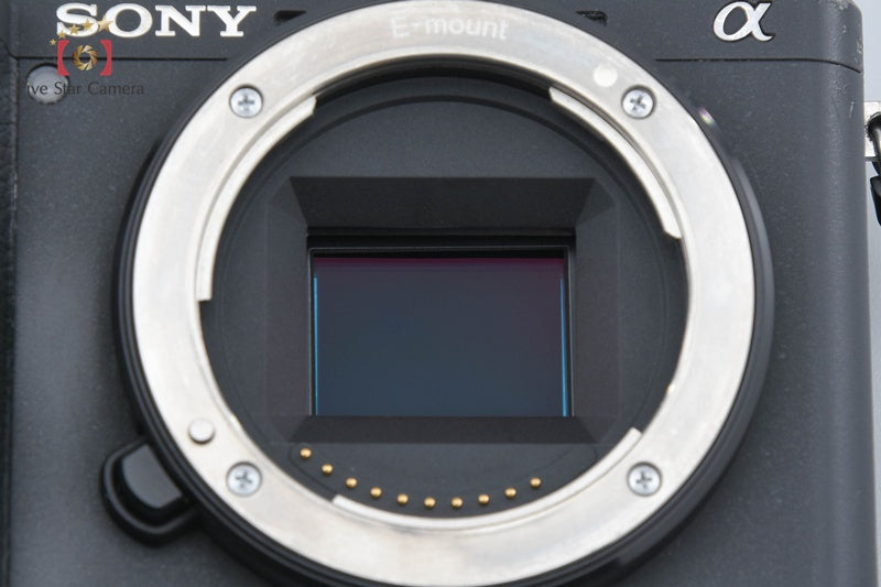 Sony Alpha α6600 ILCE-6600 24.2 MP Digital Camera Body International Model