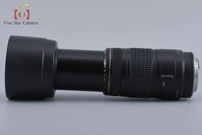 Canon EF 75-300mm f/4-5.6 IS USM