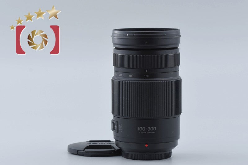 Panasonic LUMIX G VARIO 100-300mm f/4-5.6 POWER O.I.S. H-FSA100300