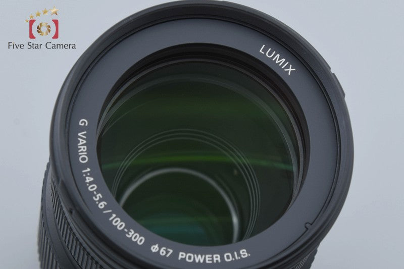 Panasonic LUMIX G VARIO 100-300mm f/4-5.6 POWER O.I.S. H-FSA100300