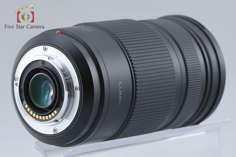 Panasonic LUMIX G VARIO 100-300mm f/4-5.6 POWER O.I.S. H-FSA100300