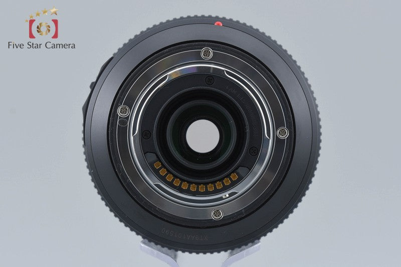 Panasonic LUMIX G VARIO 100-300mm f/4-5.6 POWER O.I.S. H-FSA100300