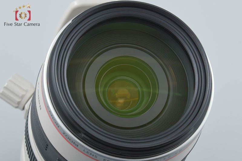 Canon EF 28-300mm f/3.5-5.6 L IS USM