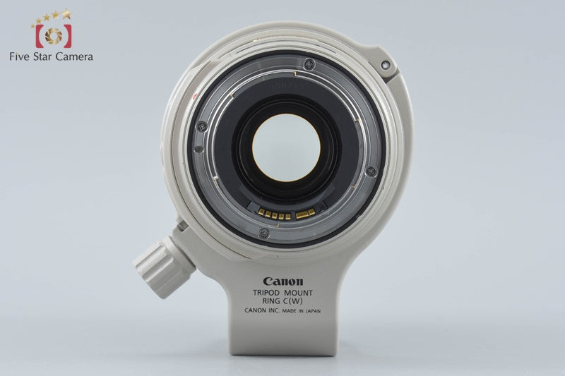 Canon EF 28-300mm f/3.5-5.6 L IS USM