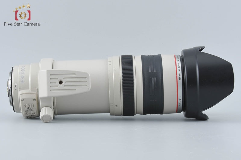 Canon EF 28-300mm f/3.5-5.6 L IS USM