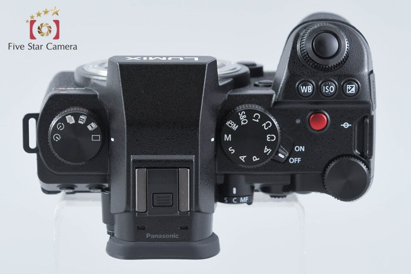 Panasonic LUMIX S5 II DC-S5M2 24.2 MP Digital Mirrorless Camera from Japan