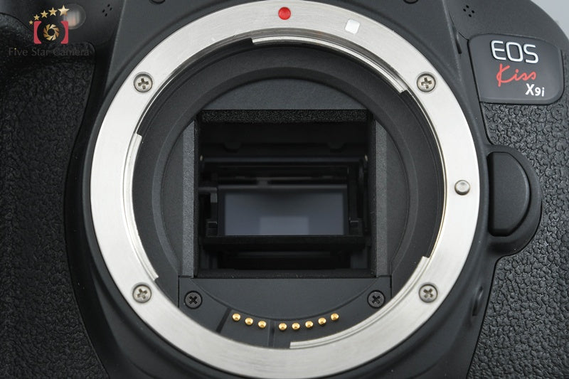 "Count 5,398" Canon EOS Kiss X9i / Rebel T7i / 800D 24.2 MP 18-55 55-250 Lenses