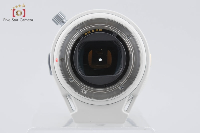 Minolta HIGH SPEED AF APO TELE ZOOM 80-200mm f/2.8 G