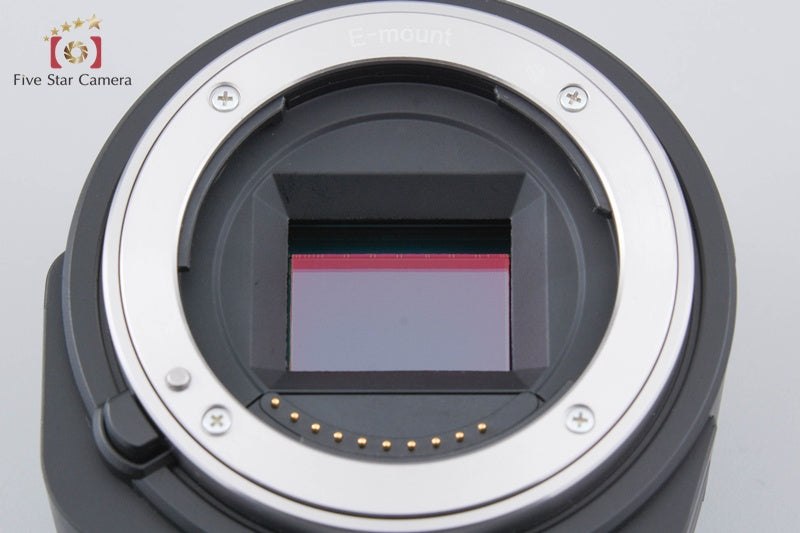 "Count 531" Sony Alpha ILCE-QX1L Lens Style Camera