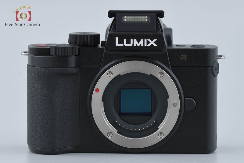 Panasonic LUMIX DC-G100DW 20.3 MP Digital Camera 12-32 45-150 Lenses w/ Box