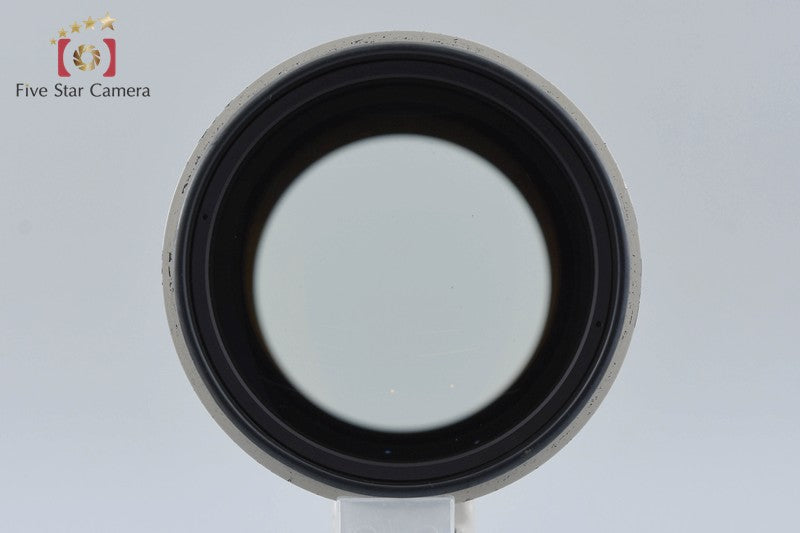 Canon EF 300mm f/2.8 L USM