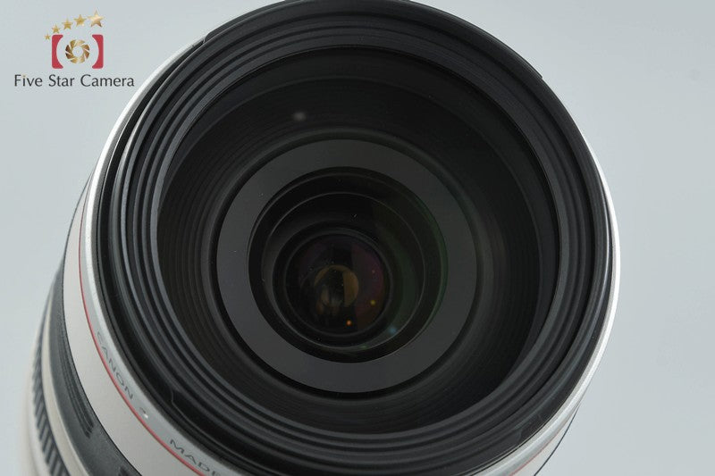 Canon EF 28-300mm f/3.5-5.6 L IS USM