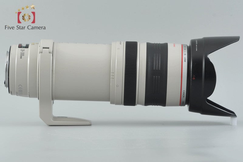 Canon EF 28-300mm f/3.5-5.6 L IS USM