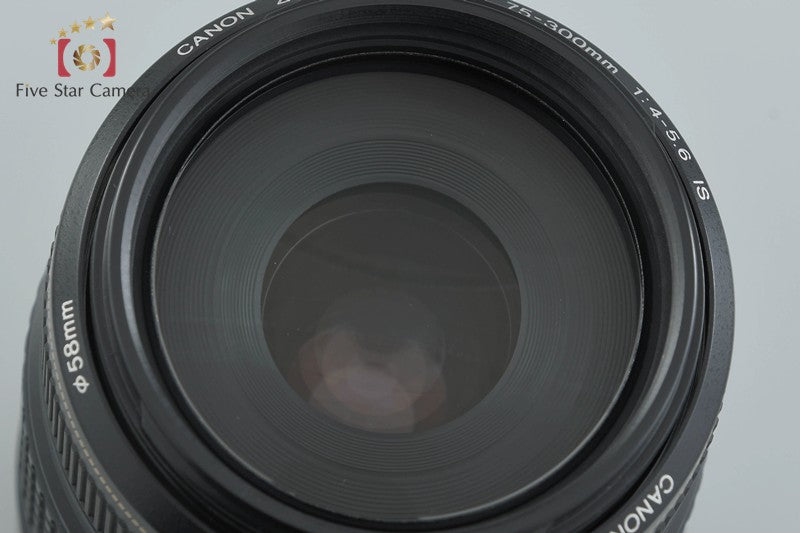 Canon EF 75-300mm f/4-5.6 IS USM