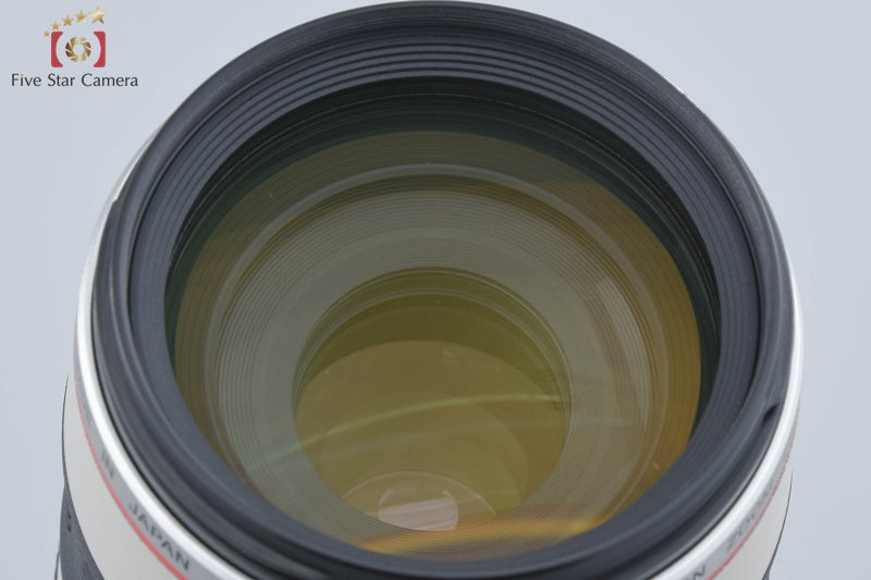Canon EF 100-400mm f/4.5-5.6 L IS USM