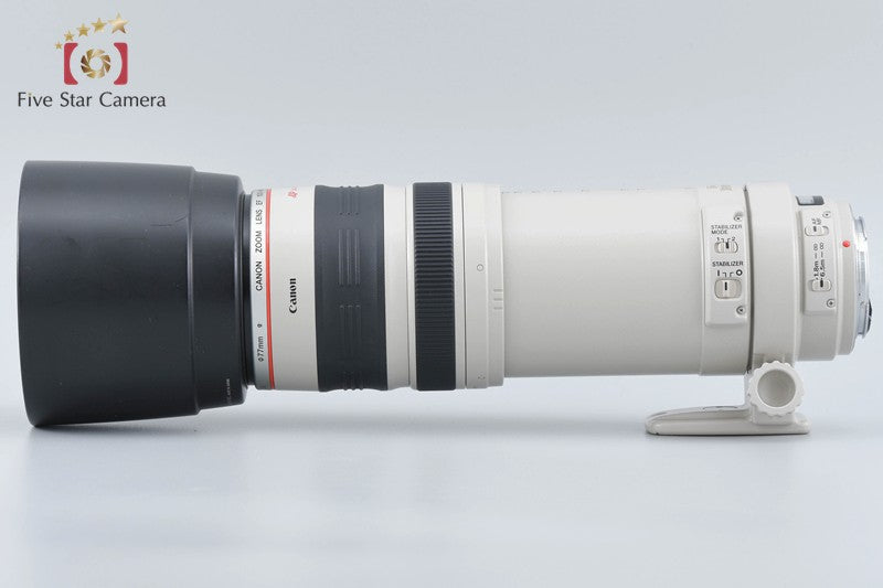 Canon EF 100-400mm f/4.5-5.6 L IS USM