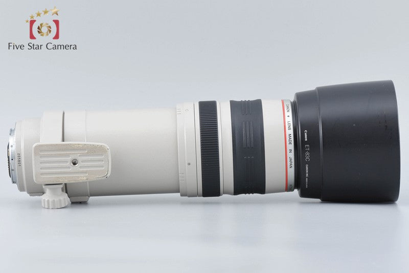 Canon EF 100-400mm f/4.5-5.6 L IS USM