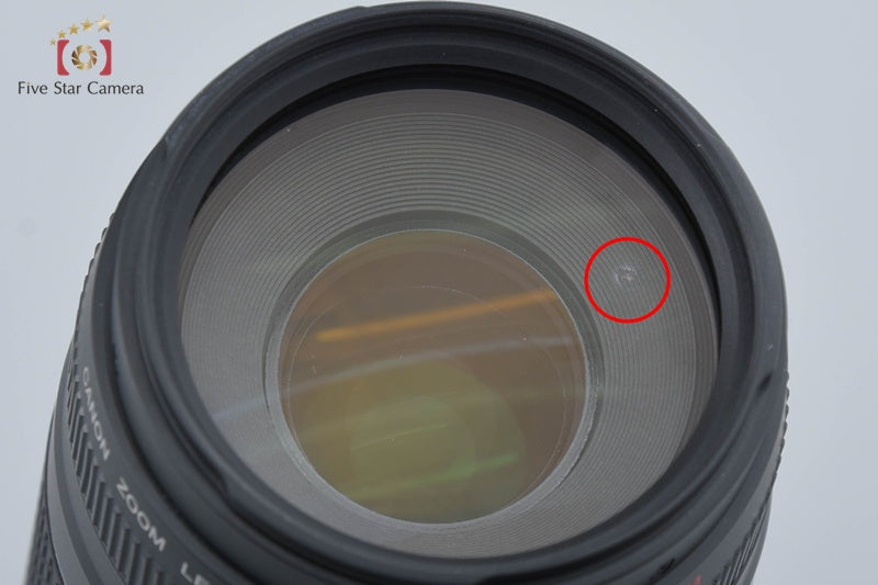 Canon EF 75-300mm f/4-5.6 III USM