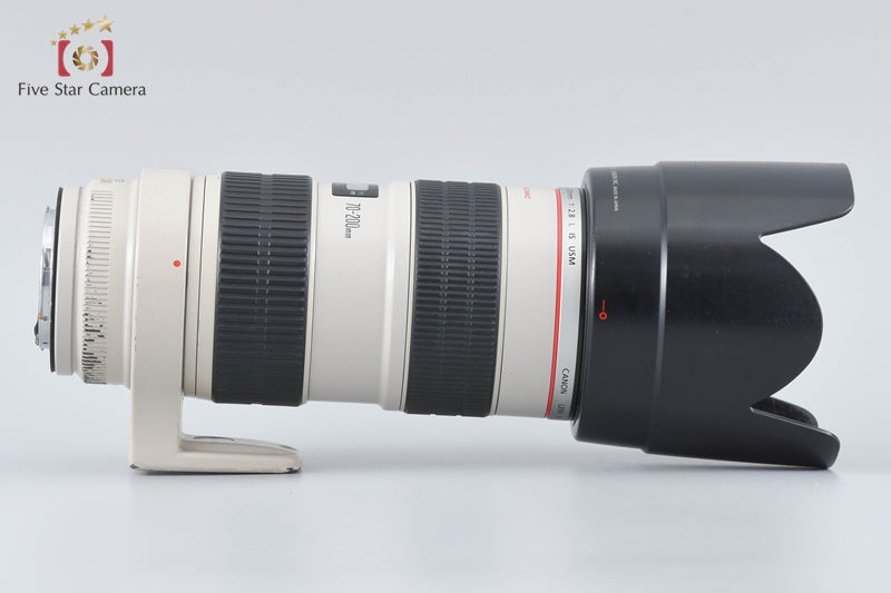 Canon EF 70-200mm f/2.8 L IS USM