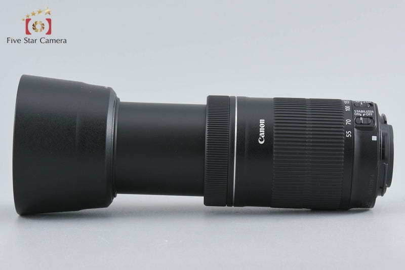 Canon EF-S 55-250mm f/4-5.6 IS STM