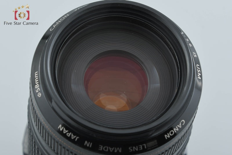 Canon EF 70-300mm f/4-5.6 IS USM