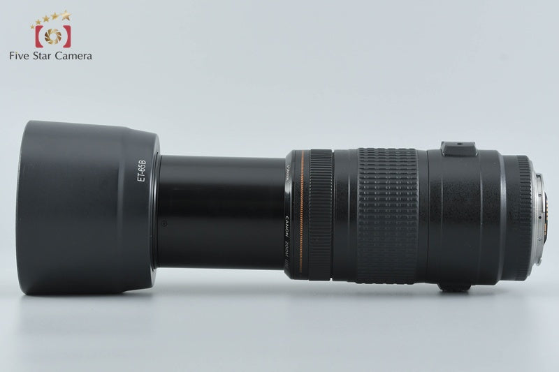 Canon EF 70-300mm f/4-5.6 IS USM