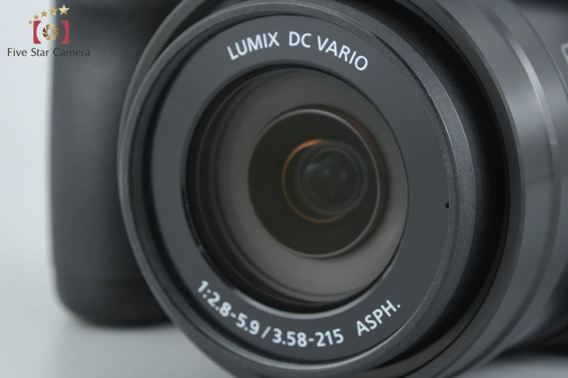 Panasonic LUMIX DC-FZ85 18.1 MP Digital Camera