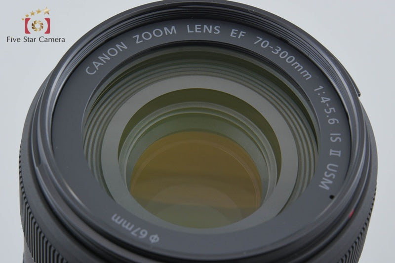 Canon EF 70-300mm f/4-5.6 IS II USM