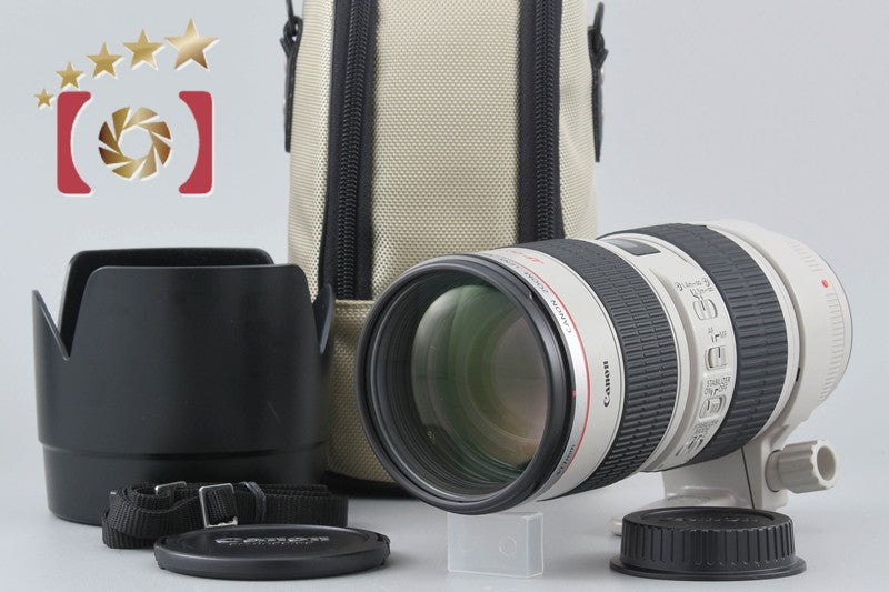 Canon EF 70-200mm f/2.8 L IS USM