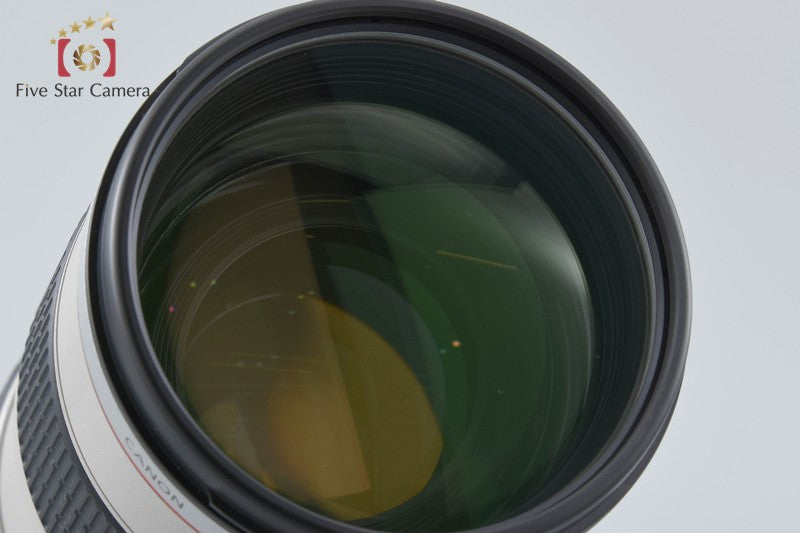 Canon EF 70-200mm f/2.8 L IS USM