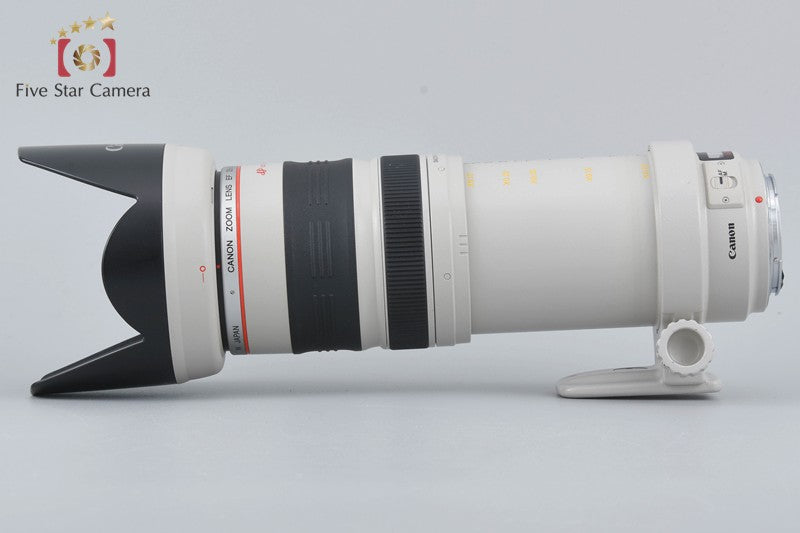 Canon EF 35-350mm f/3.5-5.6 L USM