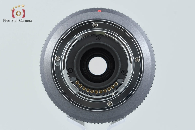 Panasonic LUMIX G VARIO 45-200mm f/4-5.6 MEGA O.I.S. H-FS045200