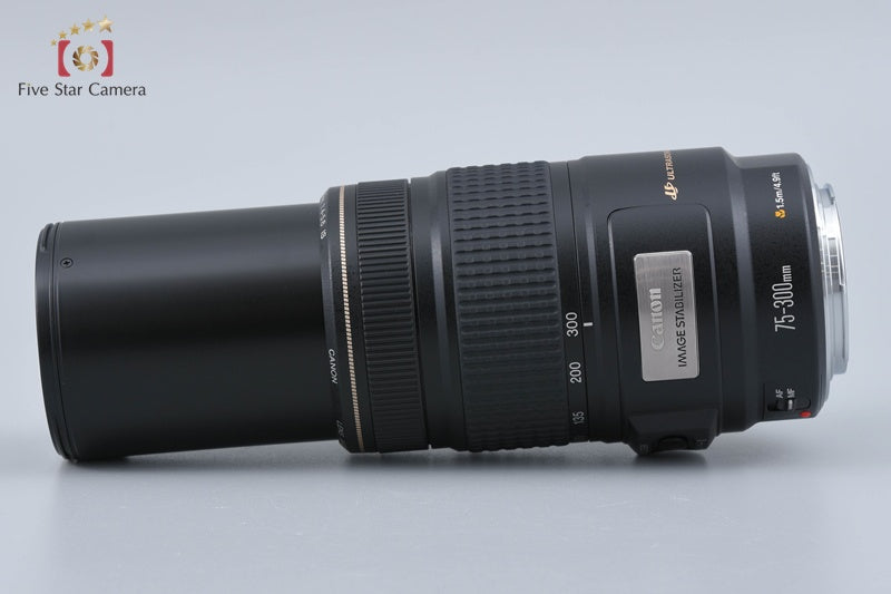 Canon EF 75-300mm f/4-5.6 IS USM