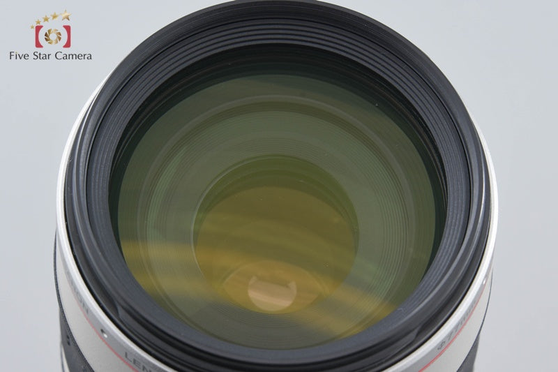 Canon EF 100-400mm f/4.5-5.6 L IS USM w/ Box
