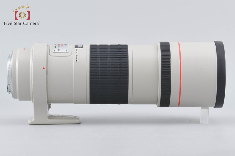 Canon EF 300mm f/4 L IS USM