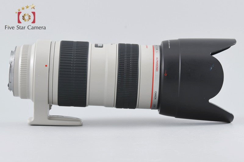 Canon EF 70-200mm f/2.8 L USM