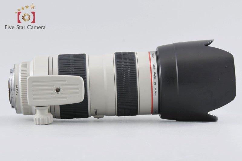 Canon EF 70-200mm f/2.8 L USM