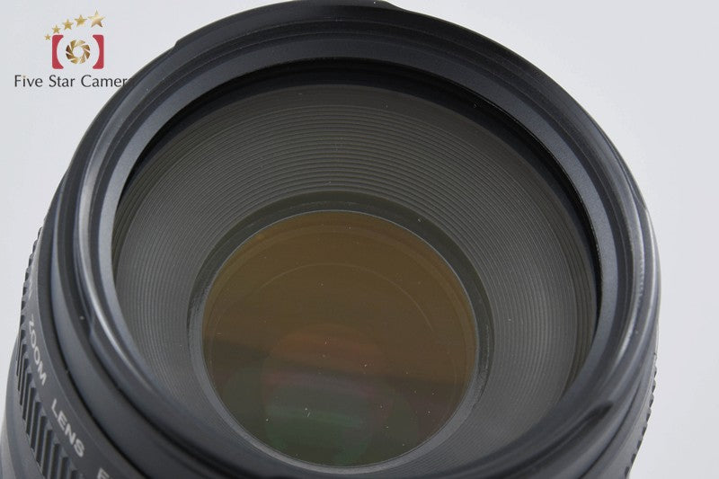 Canon EF 75-300mm f/4-5.6 III USM