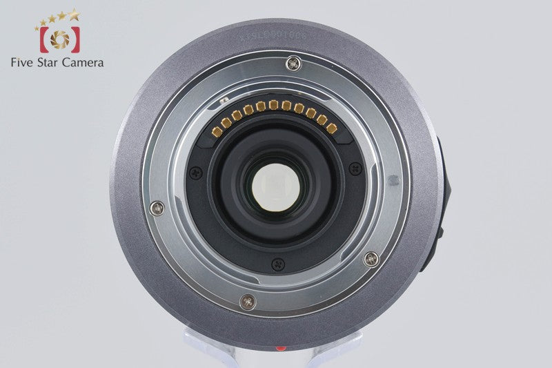 Panasonic LUMIX G VARIO 14-140mm f/4-5.8 ASPH. MEGA O.I.S H-VS014140