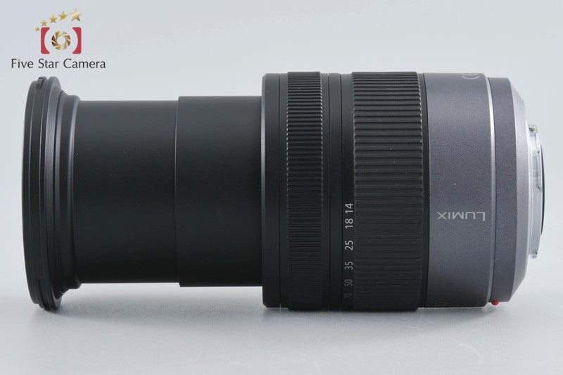 Panasonic LUMIX G VARIO 14-140mm f/4-5.8 ASPH. MEGA O.I.S H-VS014140