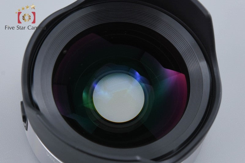 SONY E 16mm f/2.8 SEL16F28 + VCL-ECU1 Ultra Wide Converter 0.75x