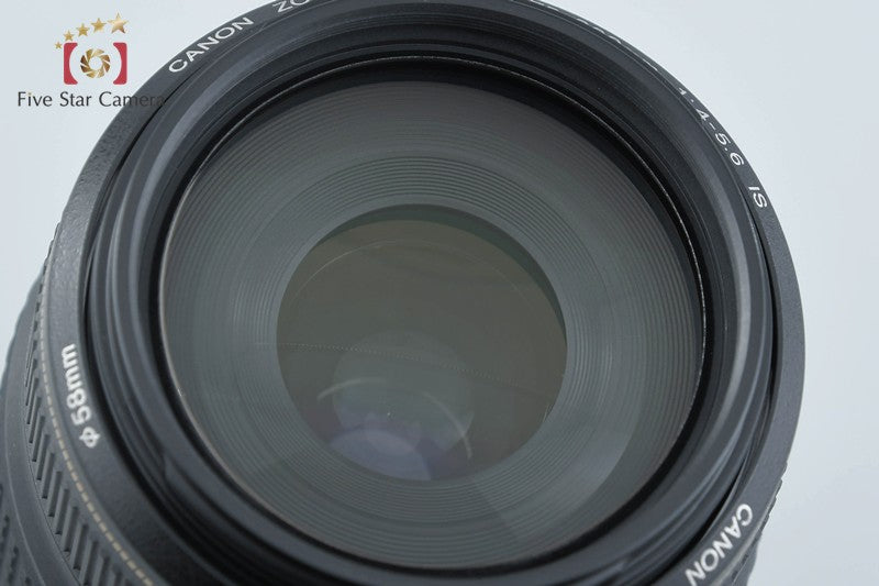 Canon EF 75-300mm f/4-5.6 IS USM