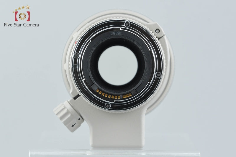 Canon EF 300mm f/4 L USM