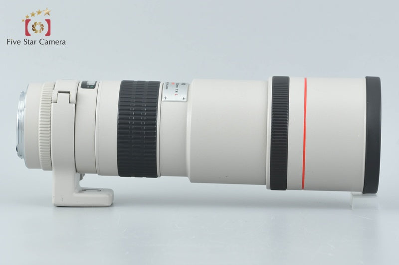 Canon EF 300mm f/4 L USM