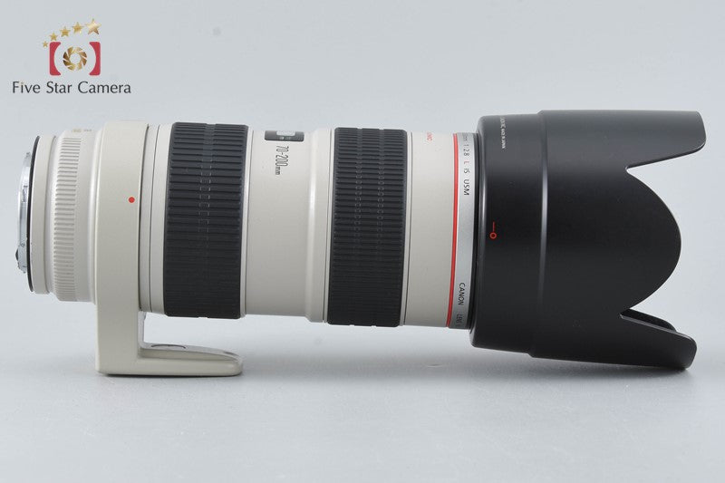 Canon EF 70-200mm f/2.8 L IS USM