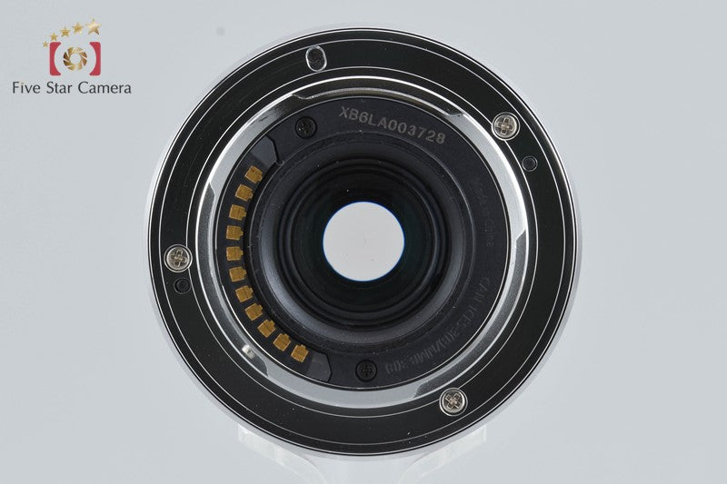 Panasonic LUMIX G VARIO 35-100mm f/4-5.6 ASPH. MEGA O.I.S. H-FS35100 Silver