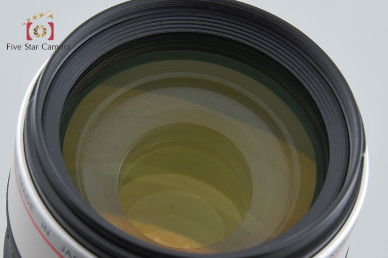 Canon EF 100-400mm f/4.5-5.6 L IS USM