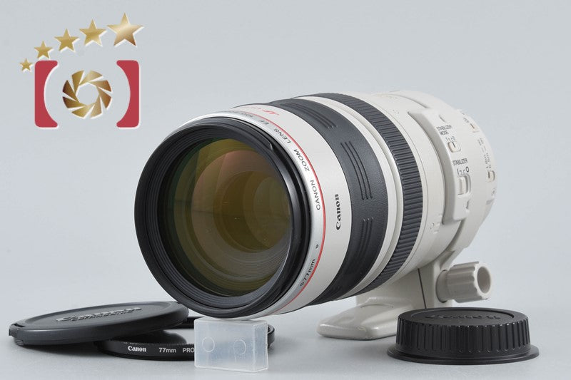 Canon EF 100-400mm f/4.5-5.6 L IS USM