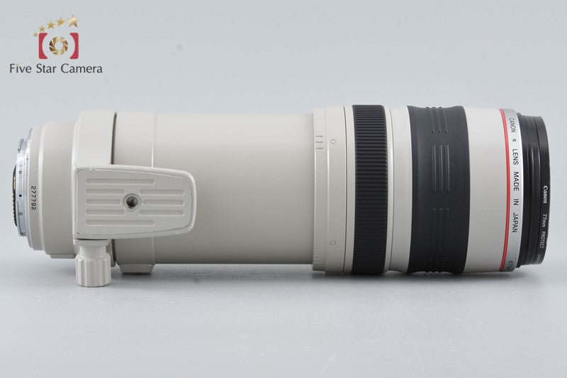 Canon EF 100-400mm f/4.5-5.6 L IS USM