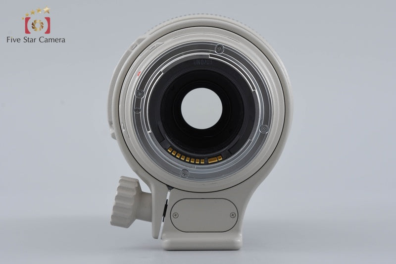 Canon EF 100-400mm f/4.5-5.6 L IS USM